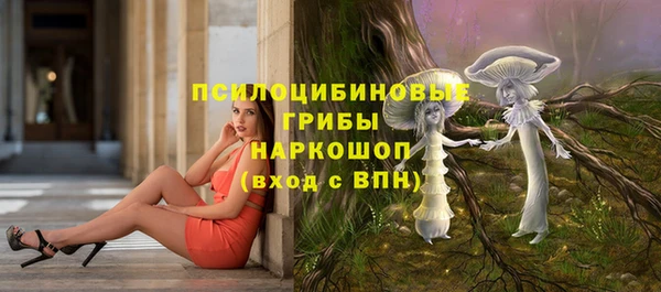 PSILOCYBIN Абинск