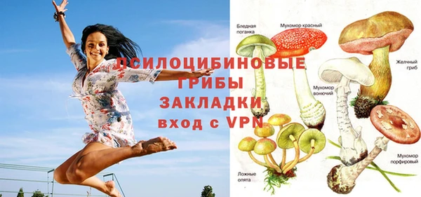 ешки Абаза