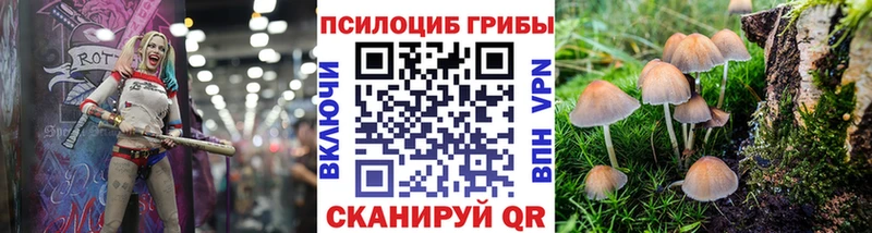 Галлюциногенные грибы Cubensis  Серпухов 